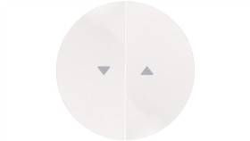 Berker R.1/R.3 Klawisz Podwójny Do Łącznika Żaluzjowego Z Symbolem /Strzałka/...