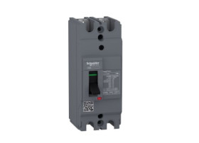 Wyłącznik kompaktowy MCCB, Typ D, 2-biegunowy, 16A, 550V, 250V, Stałe, Schneider Electric, EZC100H