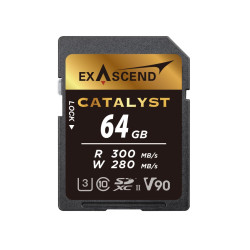 Karta SD SDXC, 64 GB, Exascend Catalyst