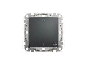 SEDNA DESIGN & ELEMENTS Wyłącznik pojedynczy 2-biegunowy IP44 czarny antracyt SDD214102 SCHNEIDER ELECTRIC