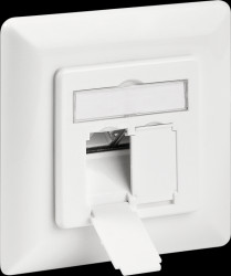 68246 Network socket, Cat.6, 2-way RJ45, flush-mounted, shielded