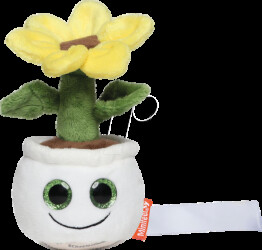 M160905 Sunflower screen cleaner