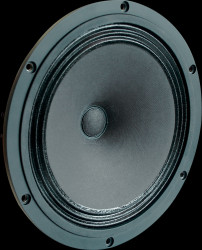 1350 VISATON high-end full-range speaker, 20 cm