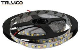 TASMA LED 2835 600/5 B.N. 1M 12V