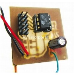 AVT3035 B