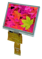 Wyświetlacz graficzny Display Elektronik EATFT043-42ATP biały 480 x 272 Pixel (S x W x G) 105.50 x 67.20 x 4.05 mm