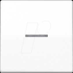 BTAS17101WW Bluetooth pushbutton, single, alpine white