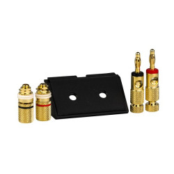 Adaptateur haut-parleurs 10mm²