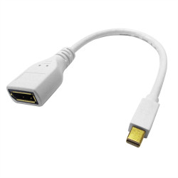 Kabel DisplayPort długość 210mm B: Display Port A: Złącze DP (Display Port) Mini męskie v. 1.2 Roline 3840 x 2160