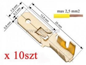 WT ( wsuwka) mosiądz 6,3/ 2,5mm2 + zaczep ( 10)
