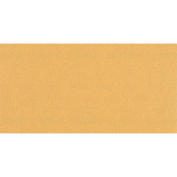 Bosch 2608900875 Expert C470 Sander Paper Grit 100 10 pieces 230x115 mm