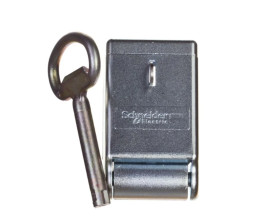 Zamknięcie na kłódkę do obudowy Spacial S3D NSYAEDLPADS3D