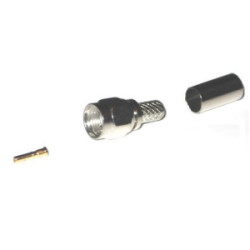 W-SMARP/H155
