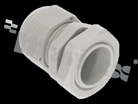 GLAND-P1613-GR-LN-CT