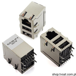 RLUE1008HFR Dual USB and RJ45 Socket THT DELTA