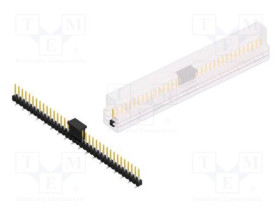 SL10SMD06236SBSM