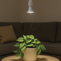 E501 010 LED plant lamp E27, 7 W, growth, Indoor Plants
