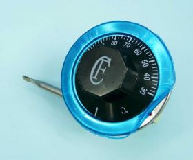 REG.TEMP.Z KAP.30-110řC 16A/250V