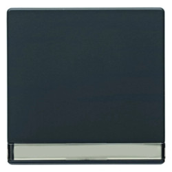 Klawisz z polem opisowym Berker Q.1/Q.3 antracyt aksamit 16266086