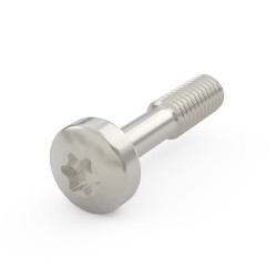 Wkręt, seria: 21101, typ: Śruba, do użytku z: Panele przednie, M2.5mm