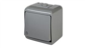 Junior Przycisk /Światło/ Popielaty Ip54 10Whe-5