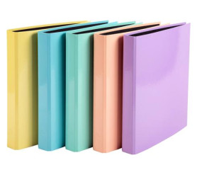 Segregator oczkowy Mieszany 2 For Paper Size A4 Exacompta