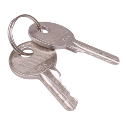 Techna PtecKeySet 2 Spare Keys