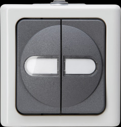 560556003 BLUE ELECTRIC damp-proof series switch, grey