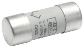 Hager LF540G LF540G Bezpiecznik (Ø x D) 22 mm x 58 mm Zawartość 10 szt.