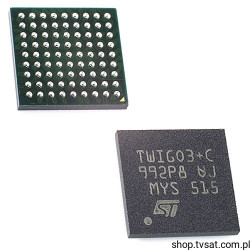 TS05CZPT TWIG03+C ASIC OEM ICs SMD-BGA81 STM