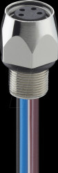 0820 03 T8CW 0,5M Receptacle connector, M8, 3 pin, female, 0,5 m