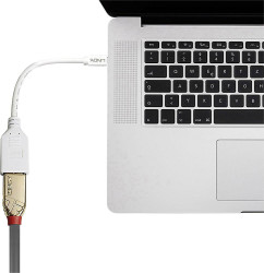 adapter DisplayPort, Mini DisplayPort LINDY LINDY Adapterkabel Mini-DP (M)/DP (F) 41021, 15.00 cm