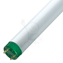 16W/840 L»590 G13 T8 Philips 8617 Eco