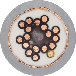 Control Cable liczba żył 12 0,25 mm² Ekranowany Igus 5 A średnica zew 10.5mm Szary