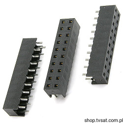 91813-120 Socket 2 x 10 Pin THT BERG