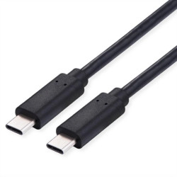 VALUE USB 2.0 Kabel, C–C, M/M, 100W, zwart, 2 m