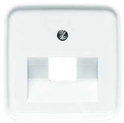Płytka czołowa, RJ45, Biały