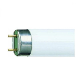 Świetlówka 23W 640 standardowa biel 8711500726384