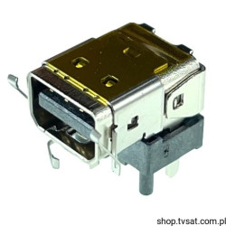 699FB20-0N011D-H Mini Display Port Connector THT ASTRON