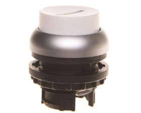 Napęd przycisku biały /I/ z podświetleniem z samopowrotem M22-DH-W-X1 216661