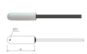 1Wire-Therm-ABS