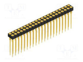 MK.213.X.2.42.G