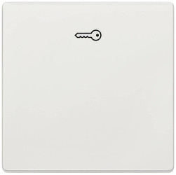 Przełącznik kołyskowy Siemens 5TG71481 platynowy