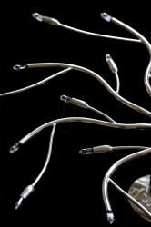 4008321202161 Halogen lamp GY6,35 HALOSTAR, 50 W, 910 lm, 3000 K, dimmable