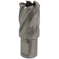 Worksafe RBHSS22S Rotabor Cutter HSS &#xD8;22mm - Cut Depth 25mm