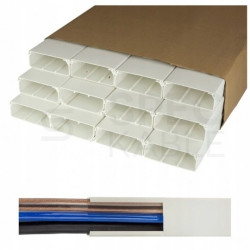 Listwa elektroinstalacyjna kanał kablowy BKK 100x40mm korytko z pokrywą KARTON=24m (12szt)