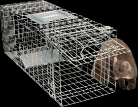 62360 Marten trap cage