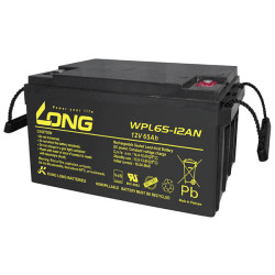Long WPL65-12AN-M VRLA Battery 12V 65Ah AGM Maintenance-Free 350x179x167mm