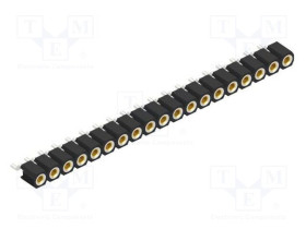 MK.24SMD19