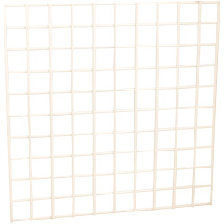 EISCO BI0508 Quadrat - 100 Squares